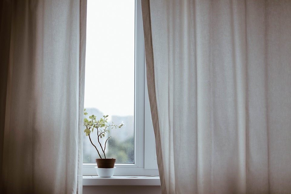 Home improvements for the whole family: A window with a thin curtain and a small plant