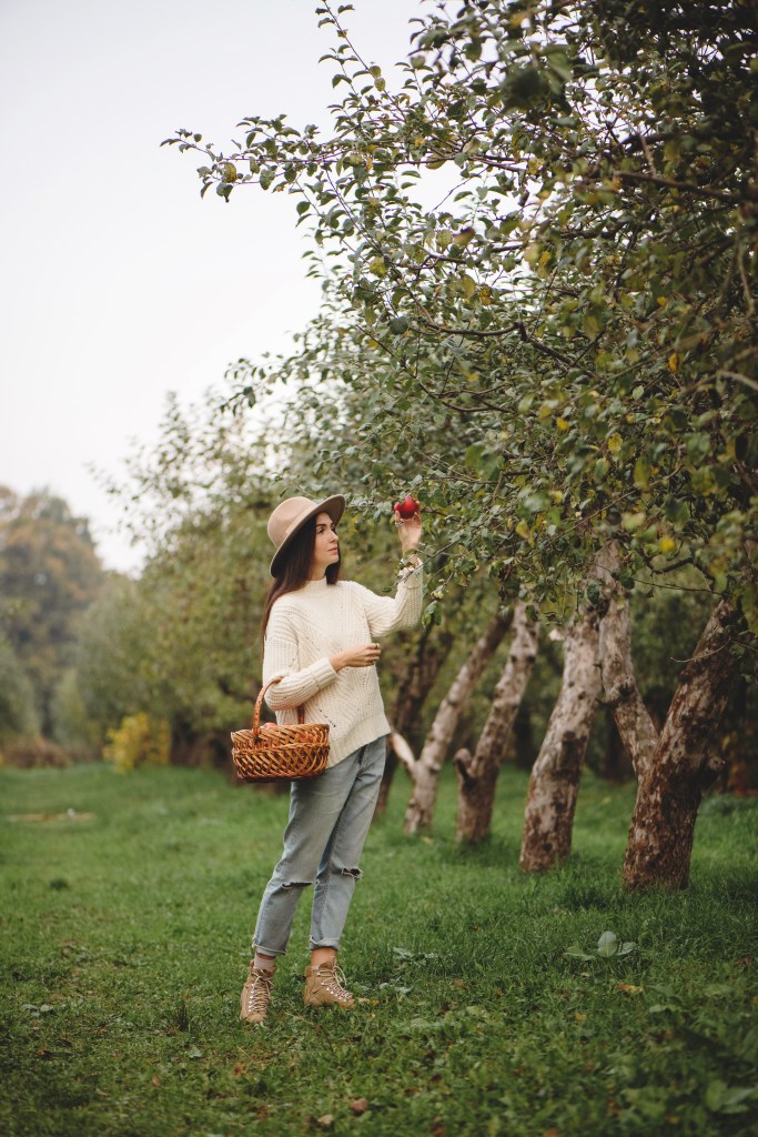 13 Golden Moments: Celebrating the Cozy and Vibrant Marvels of the Fall ...